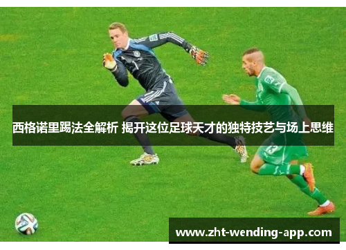 西格诺里踢法全解析 揭开这位足球天才的独特技艺与场上思维