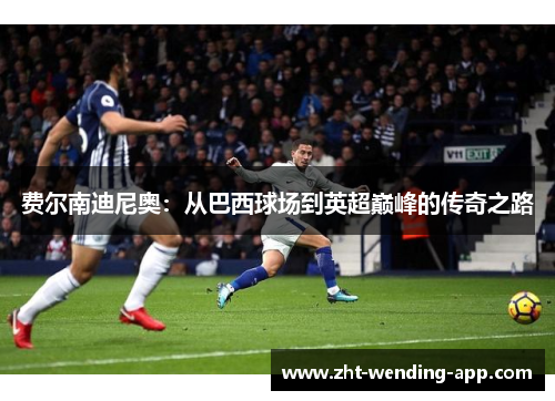 费尔南迪尼奥:从巴西球场到英超巅峰的传奇之路 费尔南迪尼奥:从巴西球场到英超巅峰的传奇之路