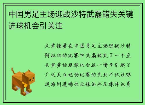 中国男足主场迎战沙特武磊错失关键进球机会引关注